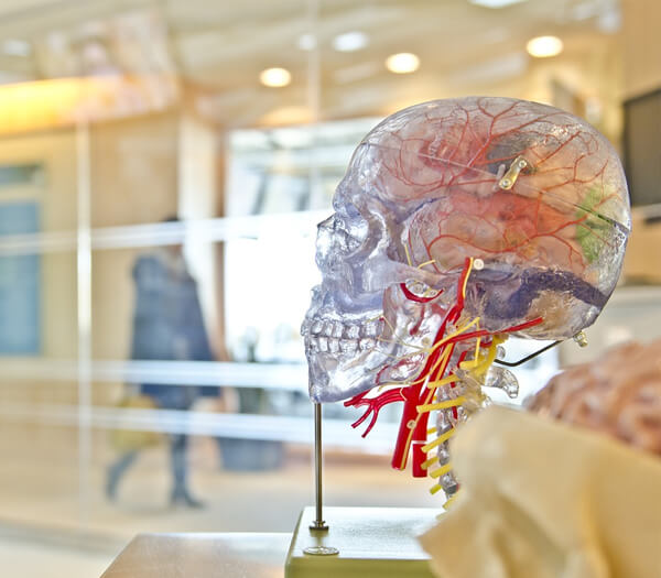 Skin Rejuvenation Course